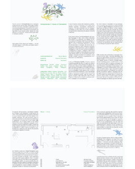 Graphic Designer Freelance — Niccolò Pisano
