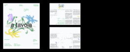 Graphic Designer Freelance — Niccolò Pisano
