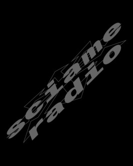 Graphic Designer Freelance — Niccolò Pisano