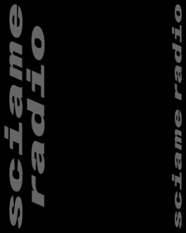 Graphic Designer Freelance — Niccolò Pisano