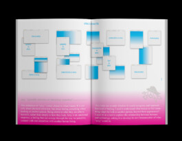 Graphic Designer Freelance — Niccolò Pisano